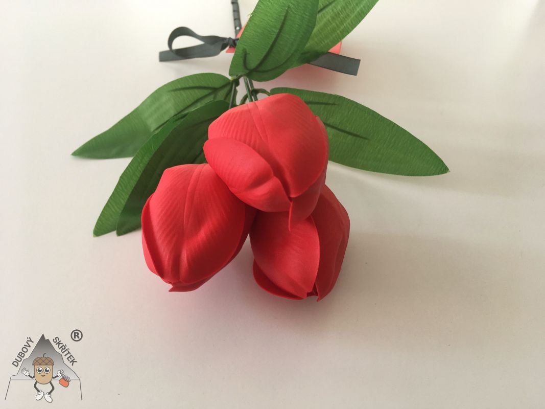 Mýdlové květy – střední Tulipán – červený 3 Dubový skřítek