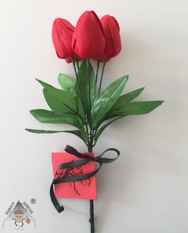 Mýdlové květy – střední Tulipán – červený 5 Dubový skřítek