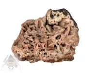 Achát troskový – přírodní minerál s nepravidelnou, porézní strukturou v béžovo-hnědých odstínech