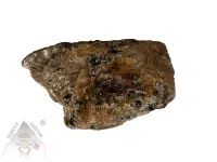 Almandin granát – přírodní surový kámen s krystaly Almandin granát – surový kámen s tmavými krystaly v hornině