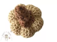 Barevné háčkované dýně - podzimní dekorace s duš