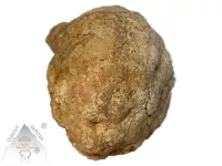 Otevřená geoda s krystalem křemene 