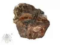 Opál dřevitý (1) – přírodní minerál se strukturou zkamenělého dřeva Opál dřevitý – přírodní kámen s kresbou připomínající zkamenělé dřevo