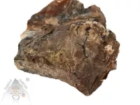 Opál dřevitý (1) – přírodní minerál se strukturou zkamenělého dřeva Opál dřevitý – přírodní kámen s kresbou připomínající zkamenělé dřevo