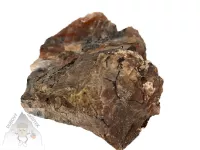 Opál dřevitý (1) – přírodní minerál se strukturou zkamenělého dřeva Opál dřevitý – přírodní kámen s kresbou připomínající zkamenělé dřevo