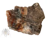 Opál dřevitý – přírodní kámen s kresbou připomínající zkamenělé dřevo