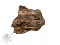 Opál dřevitý – přírodní kámen s kresbou připomínající zkamenělé dřevo