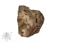 Opál dřevitý – přírodní kámen s kresbou připomínající zkamenělé dřevo