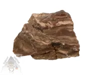 Opál dřevitý – přírodní kámen s kresbou připomínající zkamenělé dřevo