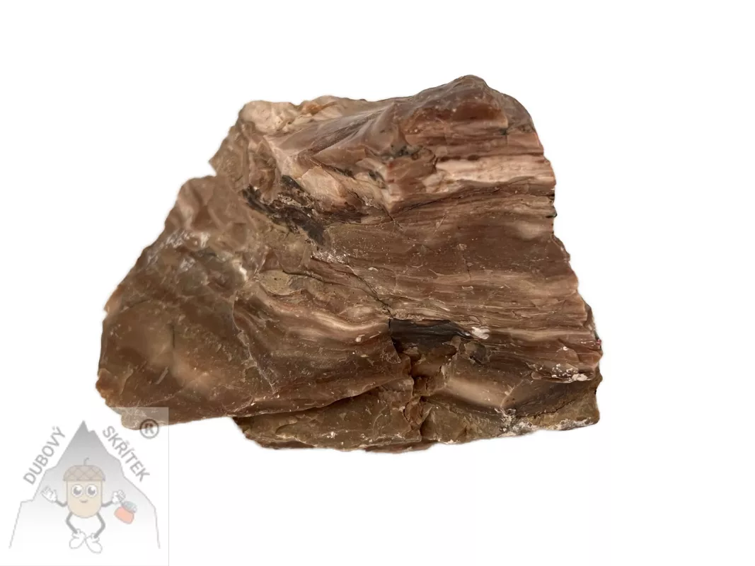 Opál dřevitý – přírodní kámen s kresbou připomínající zkamenělé dřevo