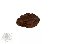 Pouštní růže – přírodní minerál sádrovec