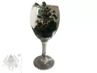 Stromeček štěstí ve skle – avanturín